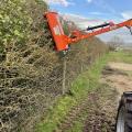 Rinieri BRF 350 Hedge and Verge Flail